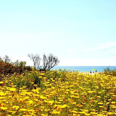 Casa Kianna 펜션 *