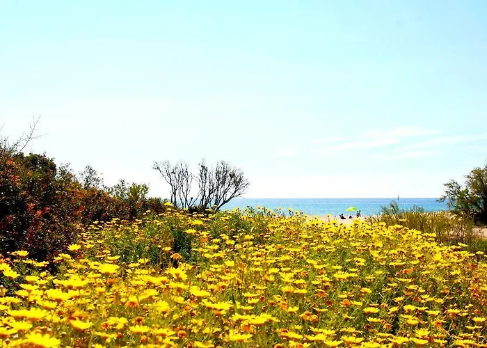 Casa Kianna Nyaraló *